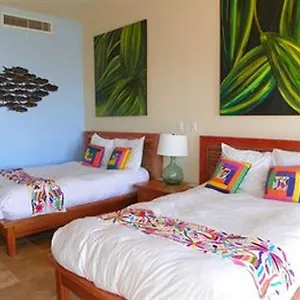 Cardon Adventure Mazatlán